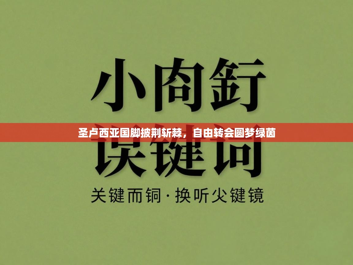 圣卢西亚国脚披荆斩棘,自由转会圆梦绿茵 第1张
