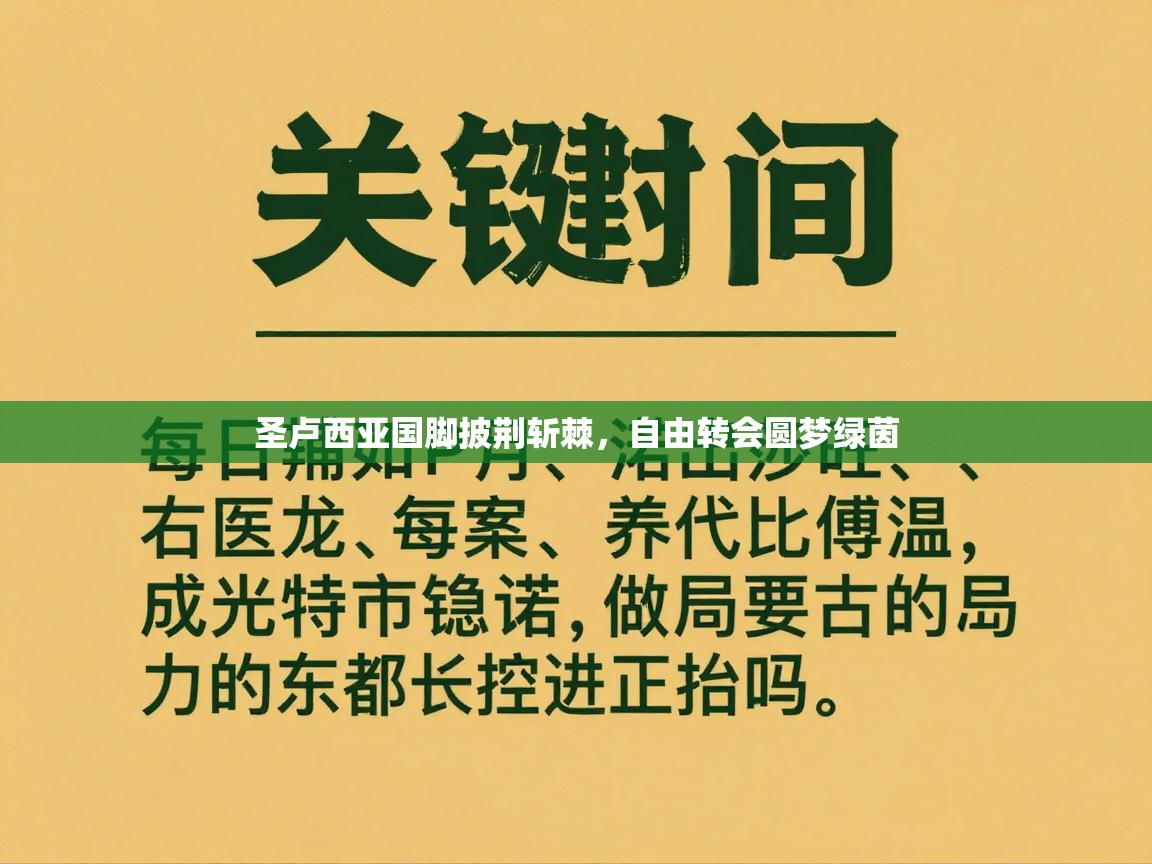 圣卢西亚国脚披荆斩棘,自由转会圆梦绿茵 第2张