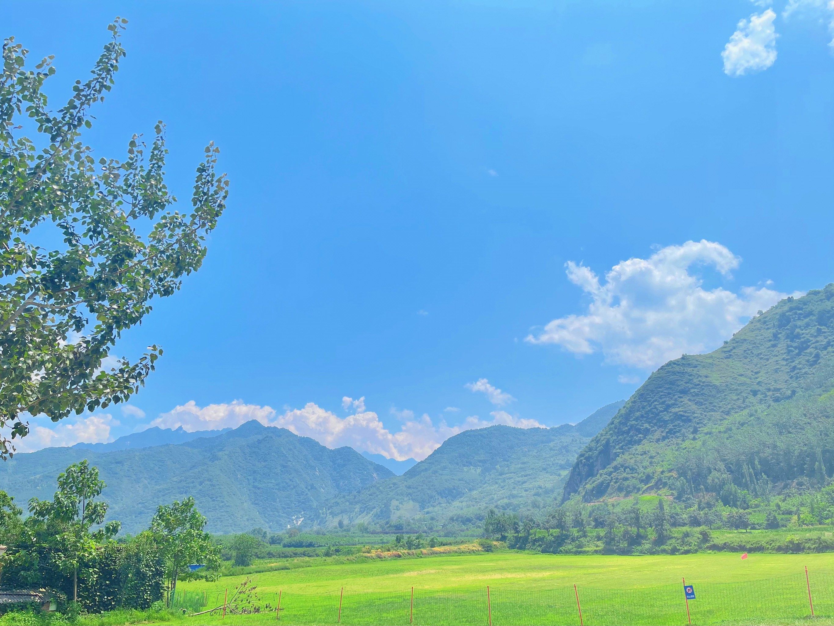 武桐桐更新社媒晒风景：这么美的天，一切都会好起来的的简单介绍
