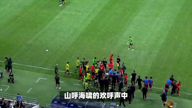瑞士独呼奋斗，崇尚团结力克劲旅的简单介绍
